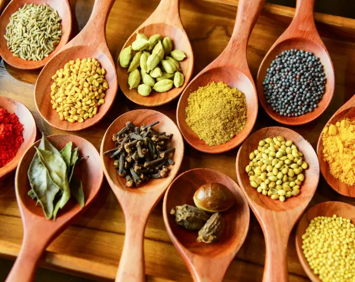 how to use Indian spices how to use Indian spices