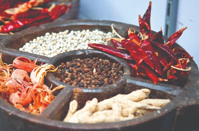 indian spice guide