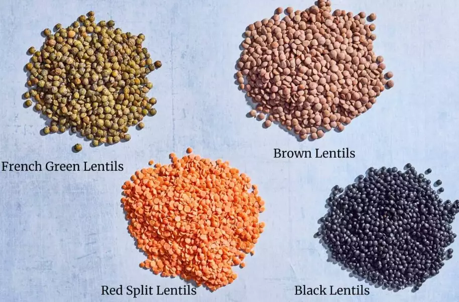 what is dhal what is dhal